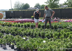 Op het containerveld bij Florensis was er ook genoeg te zien.